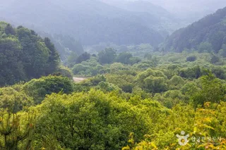 비밀의정원