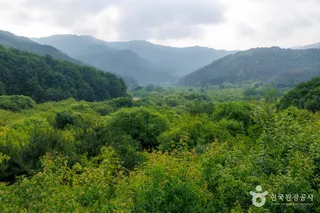 비밀의정원