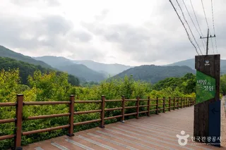 비밀의정원