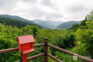 비밀의정원