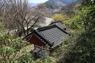 오봉정사