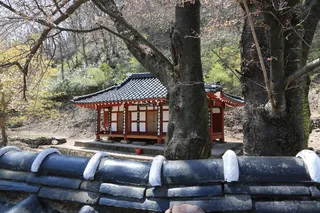 오봉정사