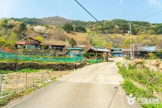 농평마을