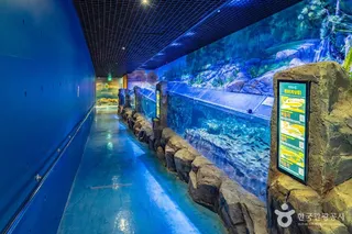 섬진강어류생태관