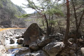 단천계곡(지리산단천마을계곡)
