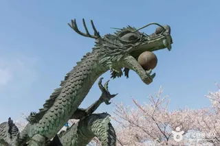 영랑호 설화공원