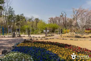 영랑호 설화공원