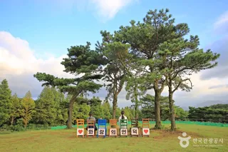 화랑의 언덕