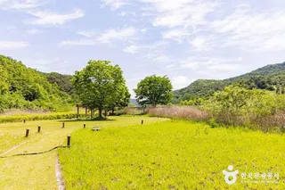 옥순봉생태공원
