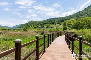 옥순봉생태공원