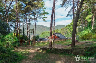 제봉산 마법의 숲 체험원