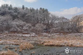벽계구곡