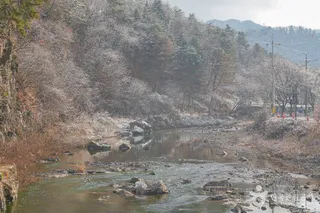 벽계구곡