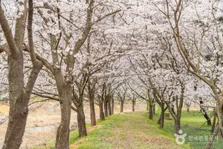 구만마을