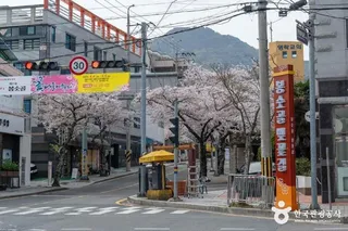봉숫골 벚꽃길