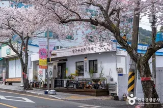 봉숫골 벚꽃길