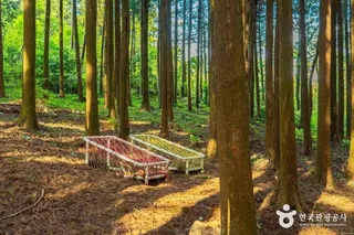 고배기동산
