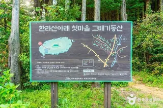 고배기동산