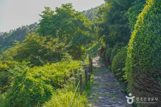 숲쟁이공원