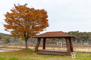 둥구리 농촌체험휴양마을