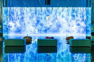DMZ 생생누리