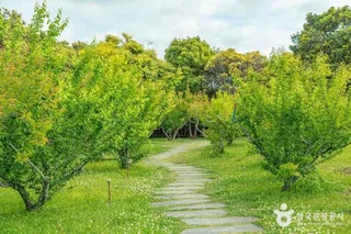 서귀포칠십리시공원