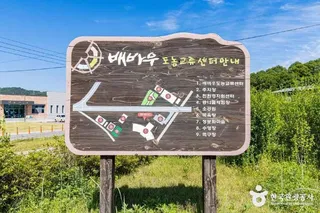배바우청정 정보화마을