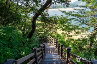 배알도 섬 정원
