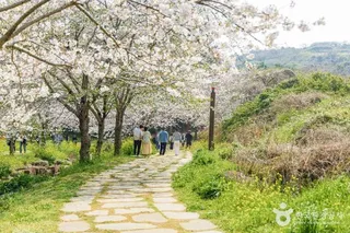 대왕수천예래생태공원