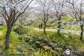 대왕수천예래생태공원