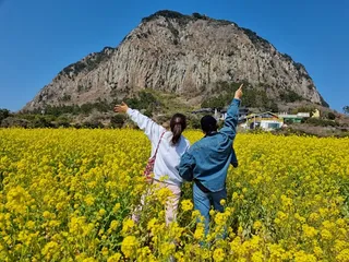 산방산유채꽃밭