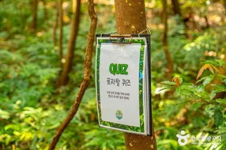 제주곶자왈도립공원