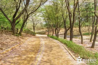 성저공원