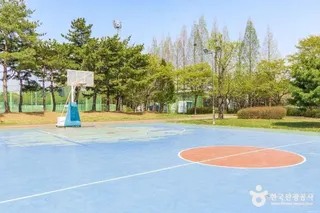 대화동레포츠공원