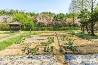 대화농업체험공원