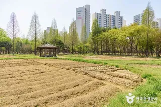 대화농업체험공원