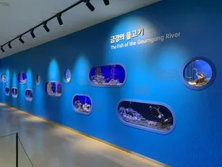 금강미래체험관