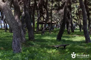 솔밭공원
