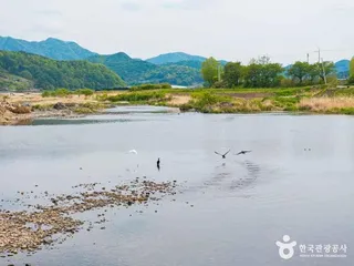 청천수변공원