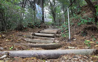 배후령고개