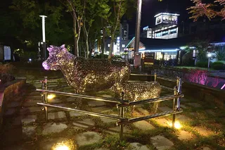 광양불고기특화거리