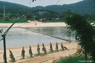 뿅뿅다리