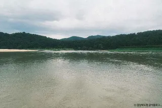 뿅뿅다리