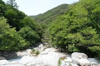 노루용추 계곡 (청송 국가지질공원)