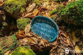 환상숲곶자왈공원