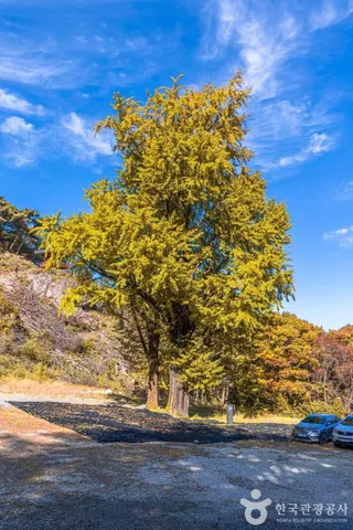 구암사(순창)