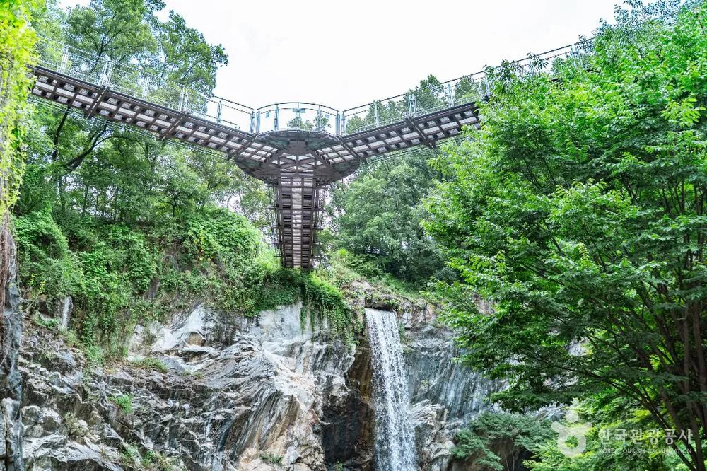 도덕산 출렁다리