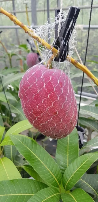 다향농장
