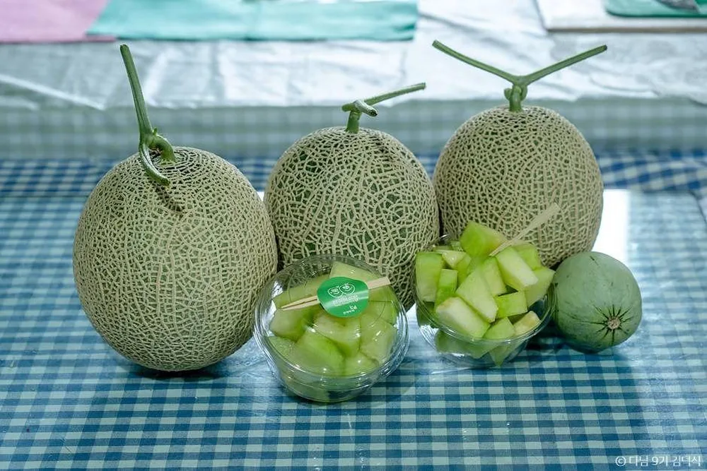 야미야미팜(야미야미팜농업회사법인(주))