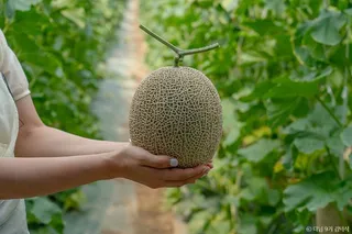 야미야미팜(야미야미팜농업회사법인(주))